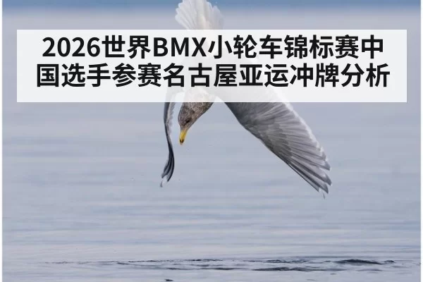 2026世界BMX小轮车锦标赛中国选手参赛名古屋亚运冲牌分析